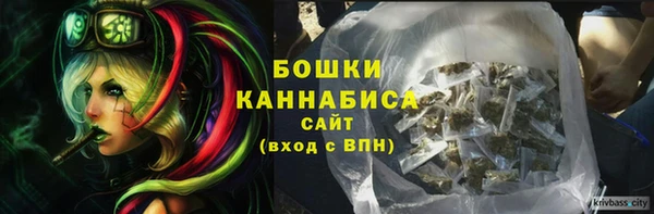 шишки Армянск