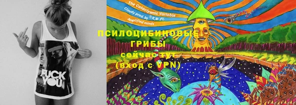 дмт Балахна