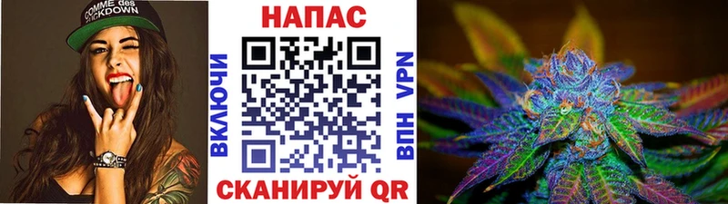 Бошки марихуана семена  Купить где  Старица 